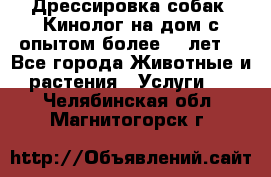 Дрессировка собак (Кинолог на дом с опытом более 10 лет) - Все города Животные и растения » Услуги   . Челябинская обл.,Магнитогорск г.